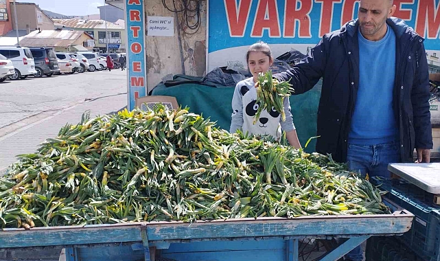 Muş'ta baharın müjdeleyicisi gülbahar bitkisi tezgâhlarda yerini aldı