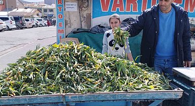 Muş'ta baharın müjdeleyicisi gülbahar bitkisi tezgâhlarda yerini aldı