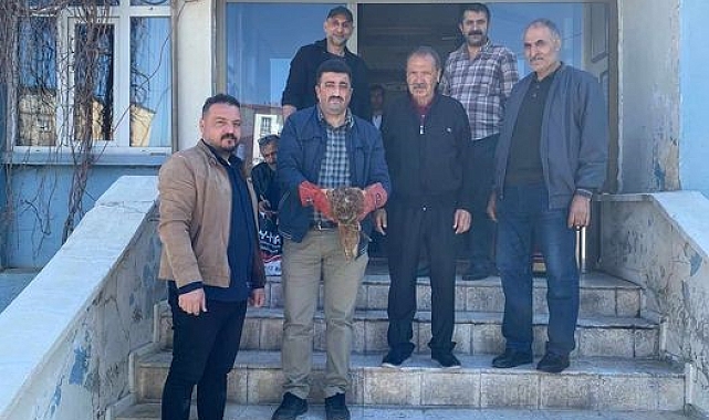 Muş'ta yaralı halde bulunan kartal ekiplere teslim edildi