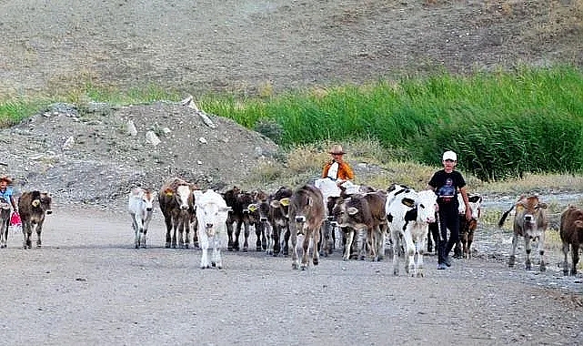 Öncelik Tarım ve hayvancılık