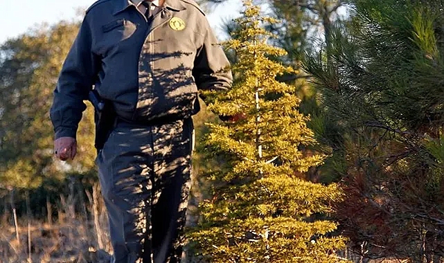 Orman muhafaza memuru alımı yapılacak