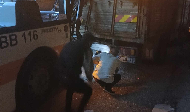 Park halindeki kamyona arkadan çarpan otobüsün boş olması faciayı önledi
