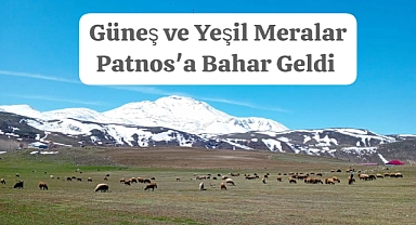 Patnos'ta Baharın Müjdecisi: Güneş ve Yeşil Meralar