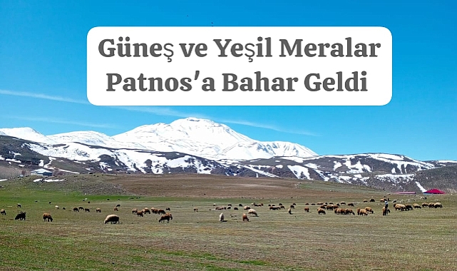 Patnos'ta Baharın Müjdecisi: Güneş ve Yeşil Meralar
