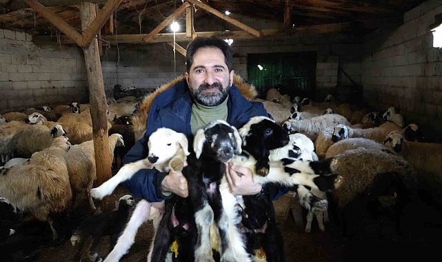 Tarım İl Müdürlüğünden küpeleme ve aşılama uyarısı