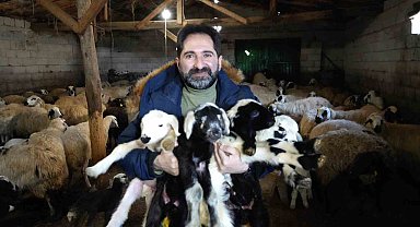 Tarım İl Müdürlüğünden küpeleme ve aşılama uyarısı