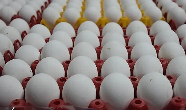Tarım Kredi'de yumurta da indirim var! Koli Koli Alacaksınız