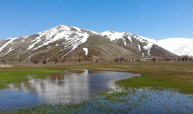 Tatvan Güzeldere'de tarlalar sular altında kaldı