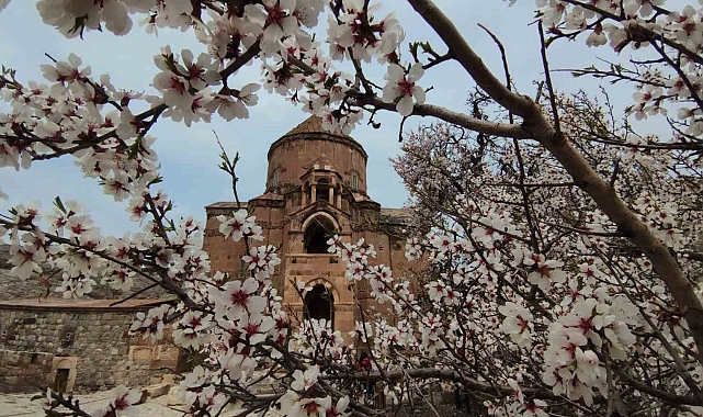 Van Akdamar Adası renk cümbüşüne büründü