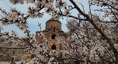 Van Akdamar Adası renk cümbüşüne büründü
