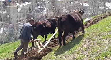 Van Bahçesaray'da Halen 'Kara saban' Kullanılıyor