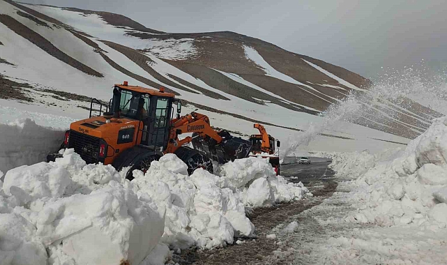 Van-Bahçesaray kara yolunda 3 ay sonra yeniden çalışma başlatıldı
