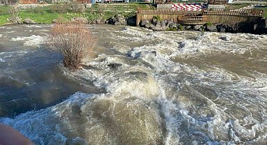 Van Gölü'nde İnci kefali için 3 aylık av yasağı başladı