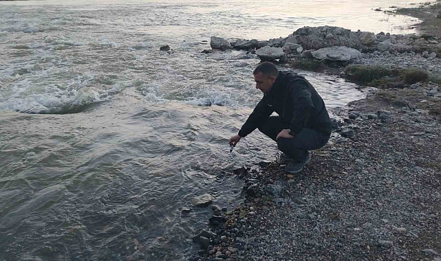 Van Gölü'nün incilerinin zorlu yolculuğu başladı