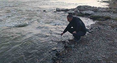 Van Gölü'nün incilerinin zorlu yolculuğu başladı