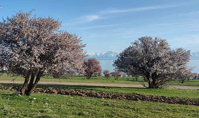 Van Hem Baharı Hem Kışı Yaşıyor