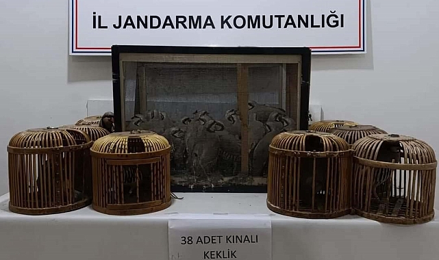 Van Muradiye'de Kafes avcıları jandarmaya yakalandı