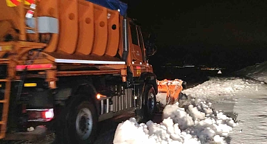 Van'da Nisan ayında yüksek kesimlerde kar etkili oldu