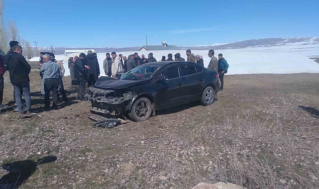 Van'da Otomobil ağaca çarptı: 4'ü çocuk 7 yaralı