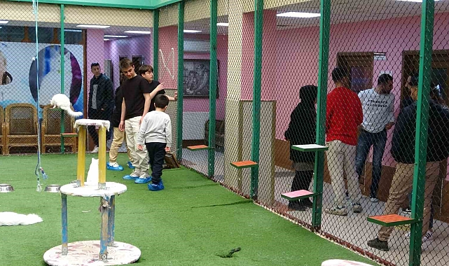Van'da Van Kedi Villası bayram tatilinde ziyaretçilerini ağırlıyor
