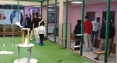 Van'da Van Kedi Villası bayram tatilinde ziyaretçilerini ağırlıyor