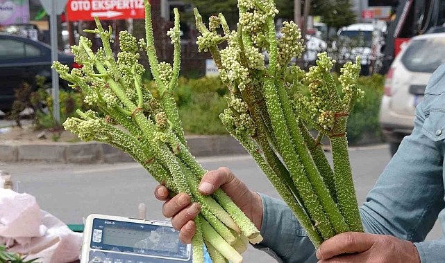 Yayla muzu uçkun fiyatı muz fiyatını üçe katladı