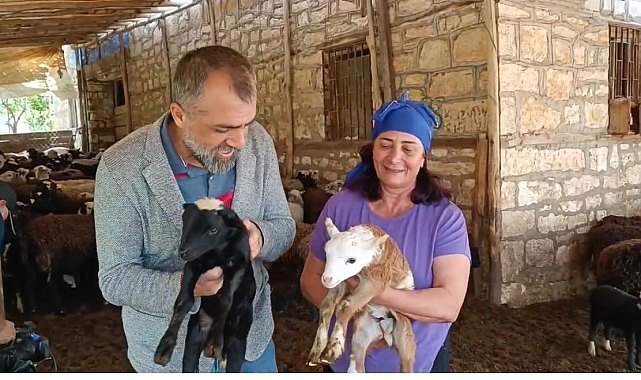 10 Koyunla Başlayan İşletme Şimdi çiftlik Sahibi