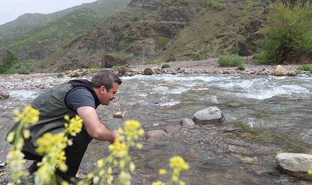 29 yıldır boş olan  Hakkari köyü sakinlerini ağırlamaya hazır