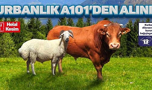 A101 kurbanlık fiyatları 2024