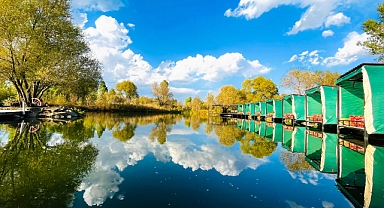 Ağrı’da yağmur sonrası doğa yeşile büründü