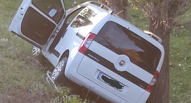 Ağrı’da yola çıkan inek kazaya neden oldu