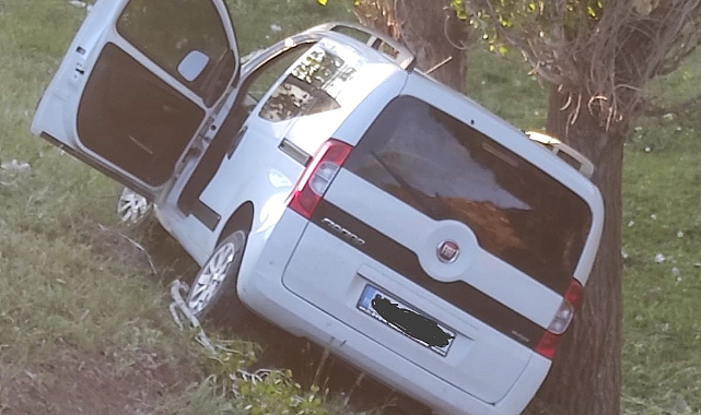 Ağrı’da yola çıkan inek kazaya neden oldu