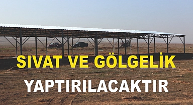Ağrı İl Orman Müdürlüğü Sıvat ve Gölgelik Yaptıracaktır