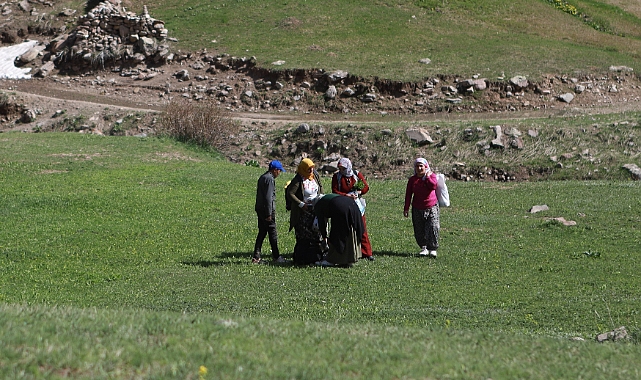 Ağrılı kadınların şifalı ot mesaisi