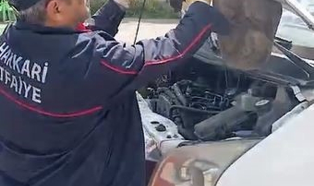 Araç Kaputuna Giren Yılan Kurtarıldı