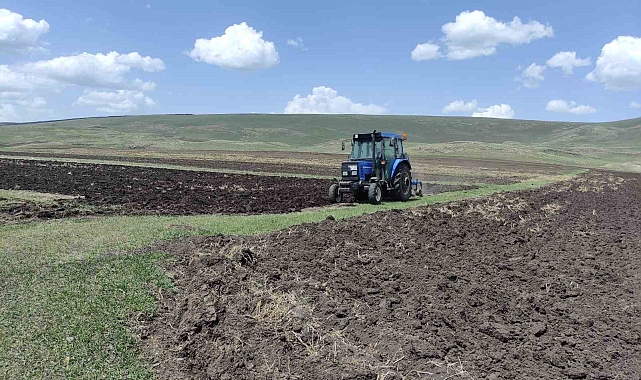 Ardahan'da ata tohumu buğday ve arpa tohumları toprakla buluşturuluyor