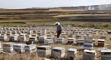 Arıcılar Ağrı’da yeni sezona hazırlanıyor