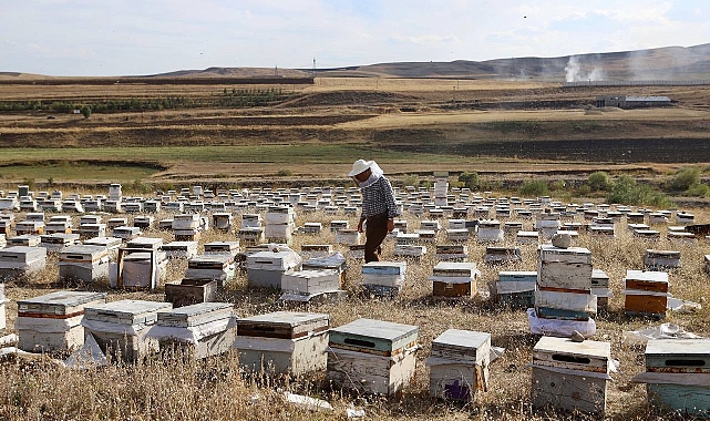 Arıcılar Ağrı’da yeni sezona hazırlanıyor