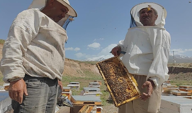 Arıcılar Sezonu Açıyor; Süphandağı Etekleri Arılarla Bezendi