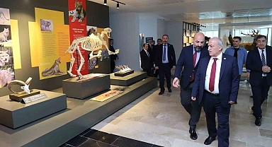 Atatürk Üniversitesi Müzesinde Çok Sayıda Böcek ve Bitki Örneği Bulunuyor