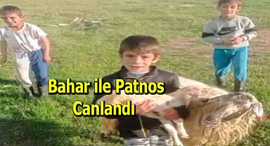 Bahar ile Patnos canlandı