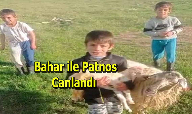 Bahar ile Patnos canlandı