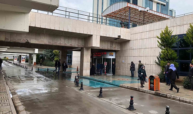 Bal arısının soktuğu adam komaya girdi