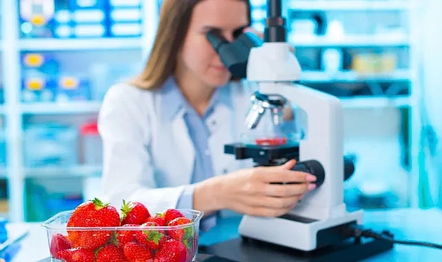 Belediye personel alacak! Başvuru şartları belli oldu