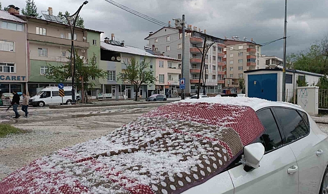 Bitlis'in Hizan ilçesinde dolu yağışı hayatı olumsuz etkiledi
