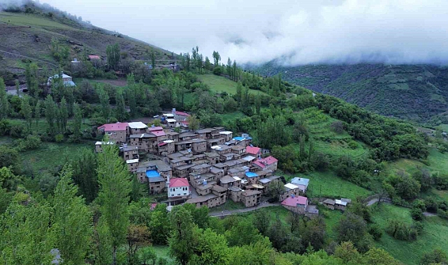 Bitlis'in Hizan ilçesindeki Taş evler hayran bıraktırıyor