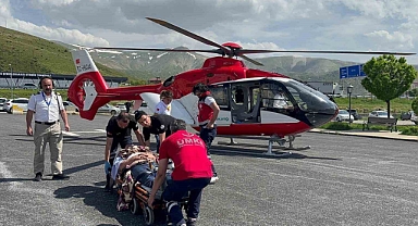 Bitlis'te arıların soktuğu hasta ambulans helikopterle Tatvan'a sevk edildi