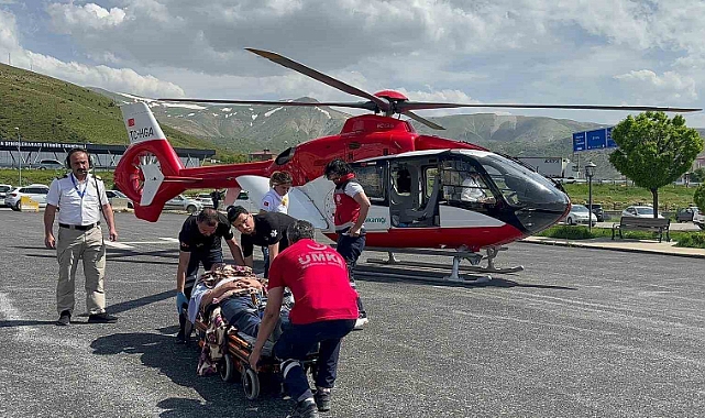 Bitlis'te arıların soktuğu hasta ambulans helikopterle Tatvan'a sevk edildi