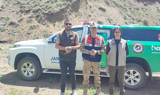 Bitlis'te kaçak avcılara 26 bin 635 lira para cezası uygulanacak