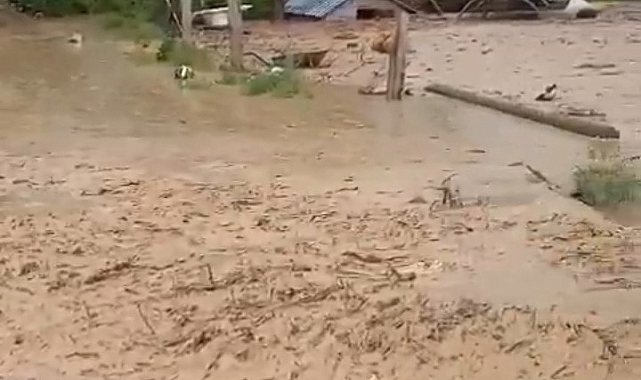 Bitlis'te sağanak yağış sele yol açtı